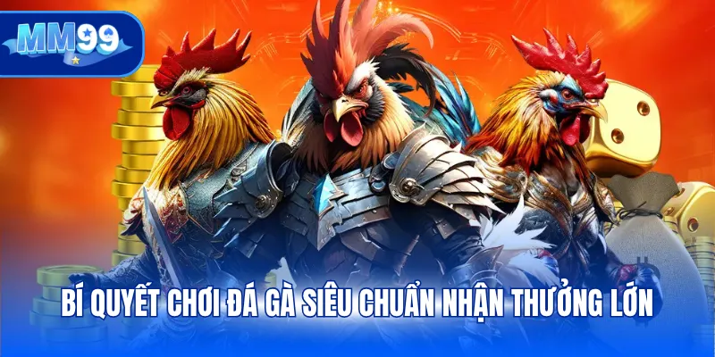 Bí quyết chơi đá gà siêu chuẩn nhận thưởng lớn