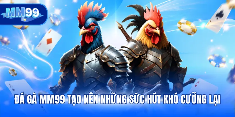 Đá gà MM99 tạo nên những sức hút khó cưỡng lại