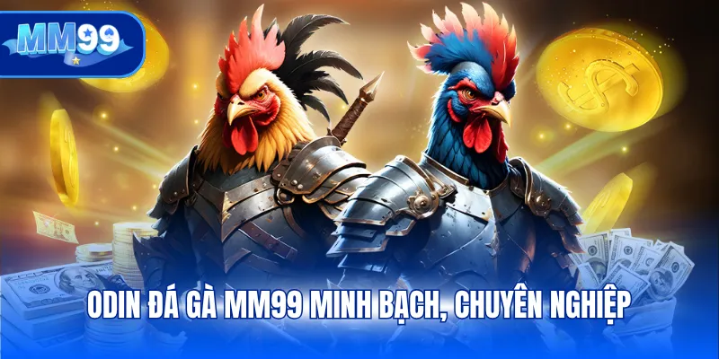 ODIN Đá gà MM99 minh bạch, chuyên nghiệp