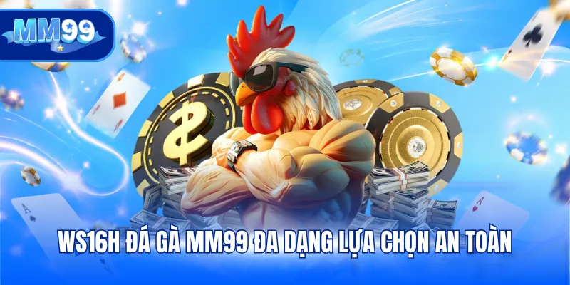 WS16H Đá gà MM99 đa dạng lựa chọn an toàn