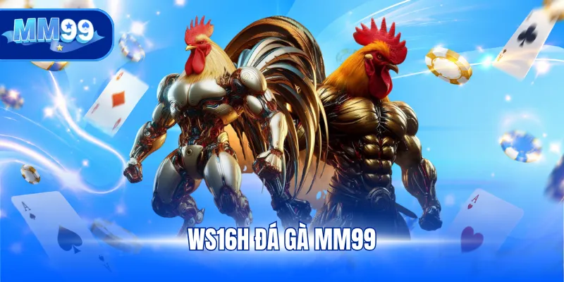 WS16H Đá gà MM99